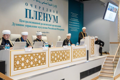 62 субъекта, 40 новых общин и 10 объектов инфраструктуры &mdash; результаты работы ДУМ РФ за год